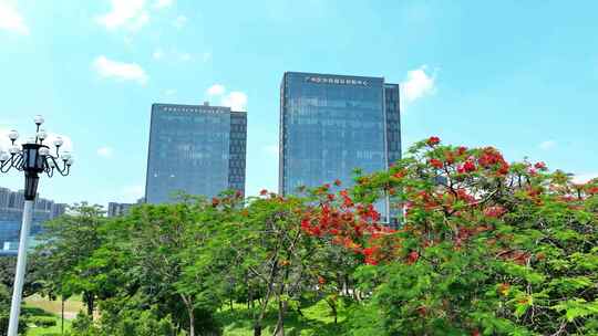广州企业总部写字楼红花盛开
