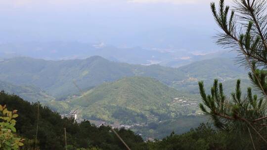 高山森林