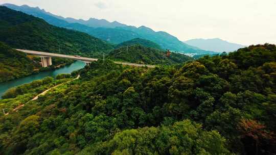 广州流溪河黑鸢高空盘旋拍摄高清升格4K视频