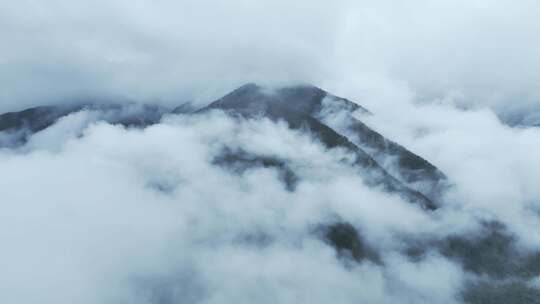 无人机航拍西藏林芝秋天高山林海云雾景观