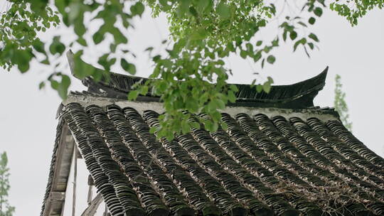 雨中江南青瓦屋顶视频素材模板下载