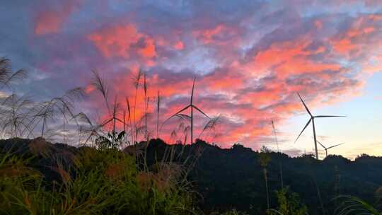 高清实拍夕阳芦苇风车视频素材