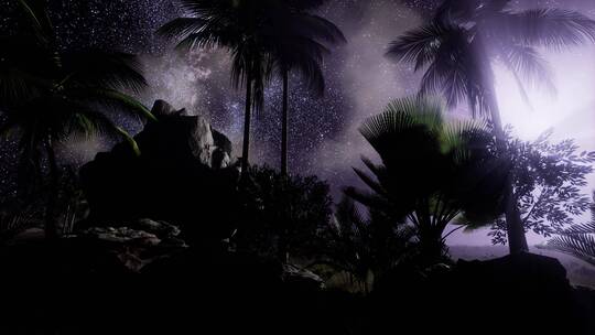 热带雨林上空银河系视频素材模板下载
