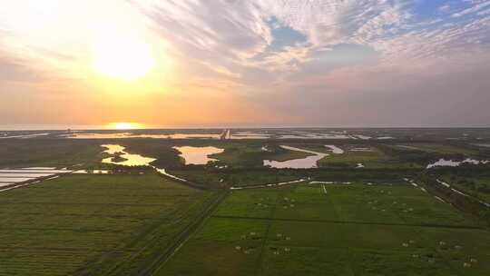 金色日出上海崇明岛东滩湿地全景