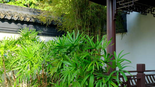 中式园林庭院视频素材模板下载