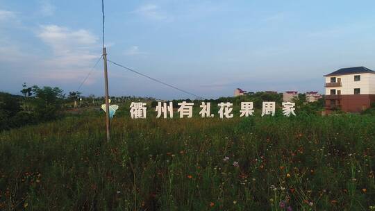 上岗头村景