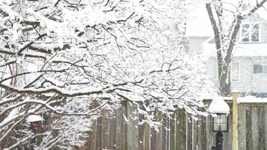 雪花 下雪 雪景