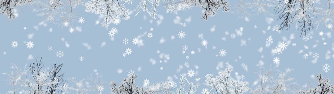 唯美冬天素材 大雪纷飞 白色雪景 网红天幕