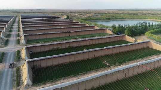 宁夏灵武白笈滩温室大棚航拍3