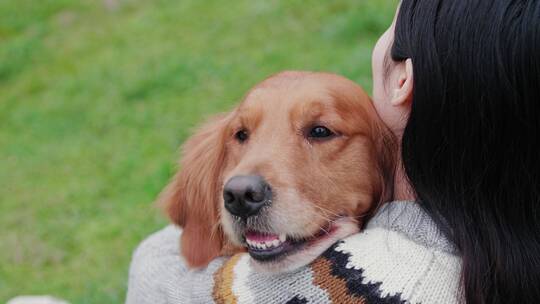 女孩抱着金毛犬坐在在公园草地上玩耍