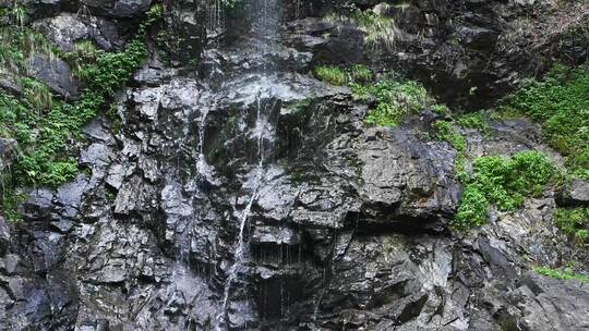 夏天森林里岩石小溪溪流瀑布流水