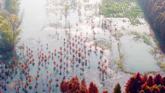 航拍西沙明珠湖景区西沙湿地生态环境