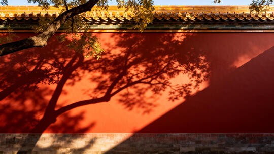 光影流转光影延时摄影空镜头合集