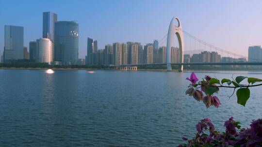 广州珠江猎德大桥与摩天大楼建筑清晨阳光