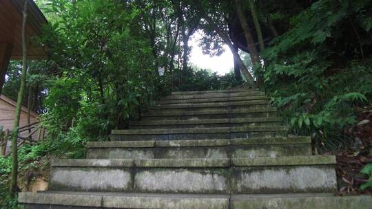 山林景观台阶