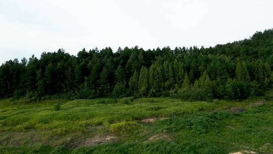 竹林湖面远山安吉航拍