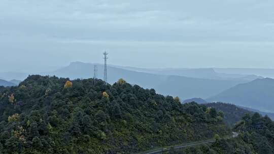 高清实拍眉山洪雅瓦屋山森林