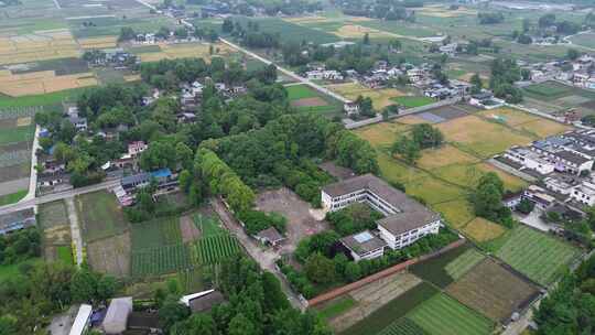 四川广汉平原土地乡村