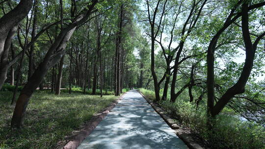 湖北武汉东湖落雁风景区