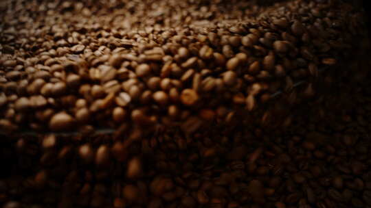 咖啡豆加工生产【4K】