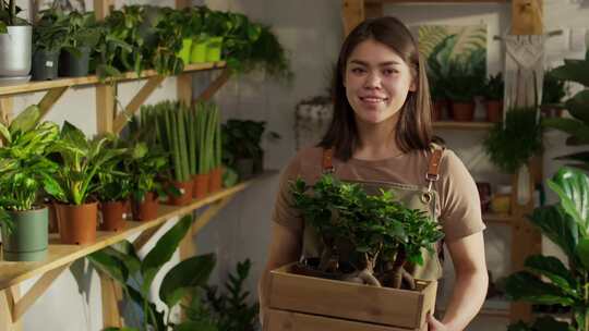 女人，控股，盆栽植物，工人