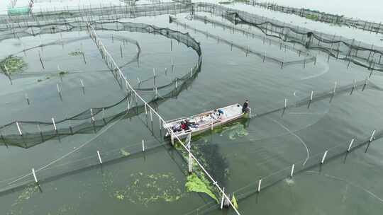 航拍苏州阳澄湖大闸蟹蟹田养殖阳澄湖风光