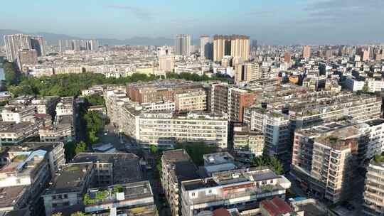 城市上空鸽子飞鸟航拍鸟群城市飞翔一群鸽子视频素材模板下载