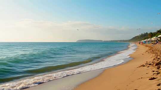海滩大海沙滩全景
