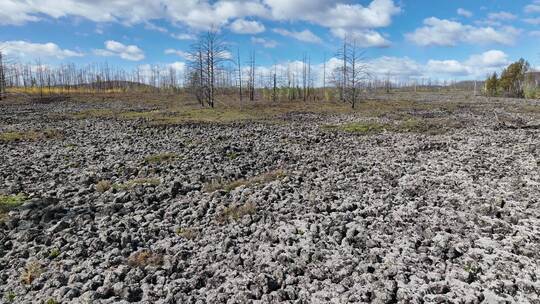 内蒙古达尔滨湖火山熔岩地貌