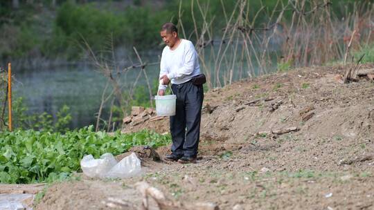 4k农业农民担水浇菜地