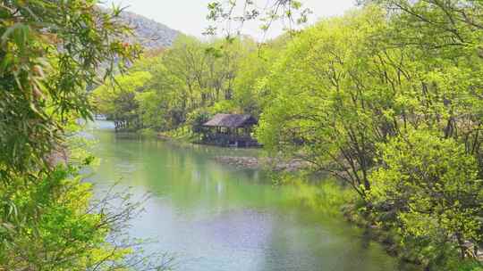 杭州西湖浴鹄湾春天风景