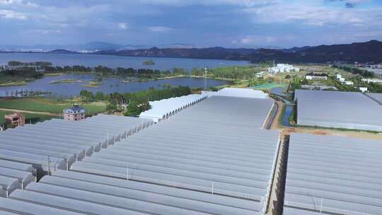 联栋温室大棚 乡村振兴 现代农业