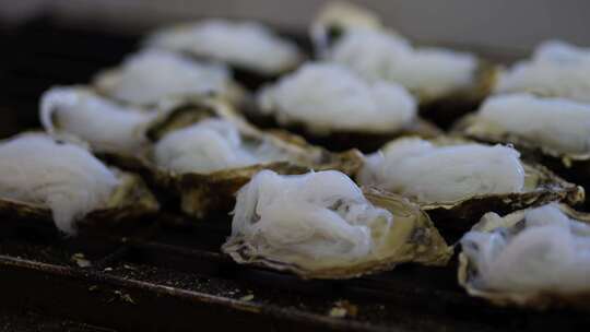 美食 夜市 生蚝 食物 烧烤