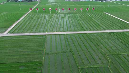 国家级水稻油菜制种基地