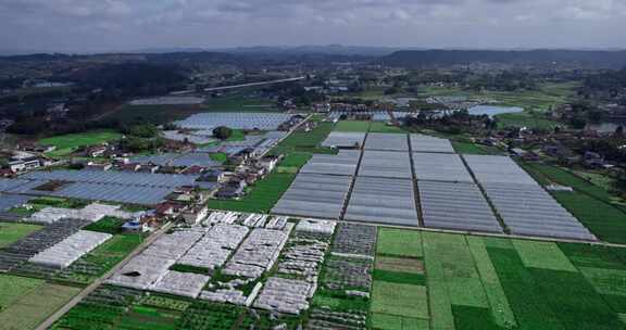 4K高清实拍蔬菜基地大棚农村乡村振兴