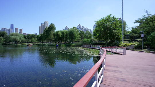 武汉武昌区内沙湖公园