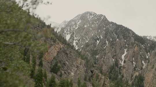 山，风景，荒野，冬季