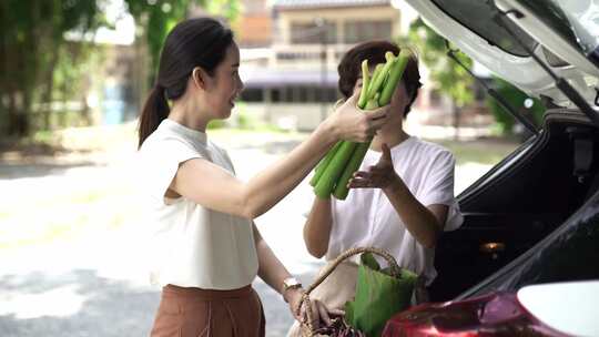 人们把杂货放进汽车后备箱