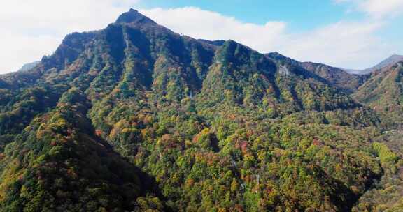 秋天的米仓山秦岭黄柏塬