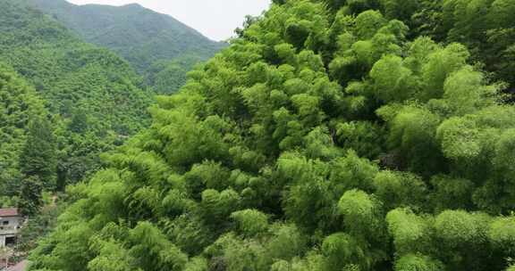 浙江湖州安吉竹海竹林竹山航拍