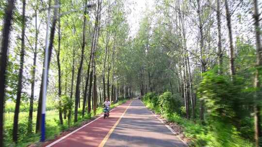 河边公路飞快行驶 快速骑行 快速飞奔