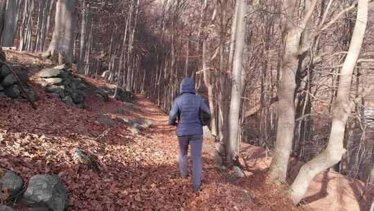 人独自行走在森林里视频素材模板下载