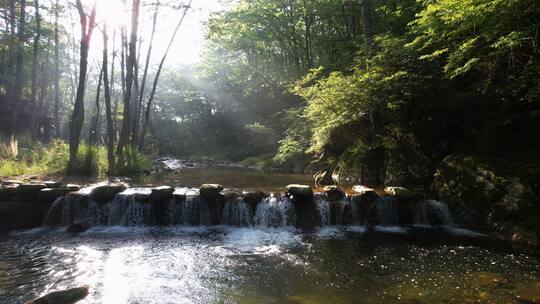 山区阳光照进森林里的潺潺流水风景1