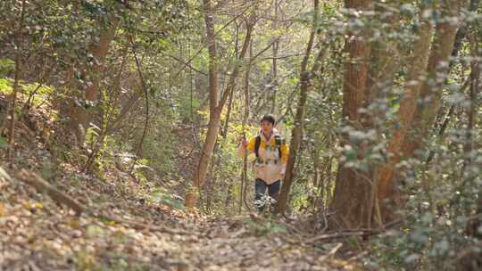 森林丛林徒步探险登山视频素材模板下载