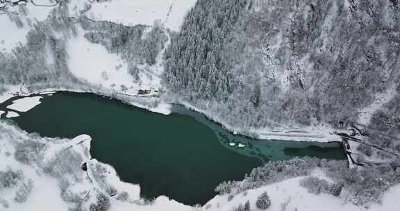 湖，雪，树木，克拉姆湖