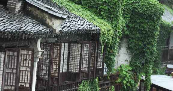 （慢镜）江南古镇大雨屋檐下的爬山虎