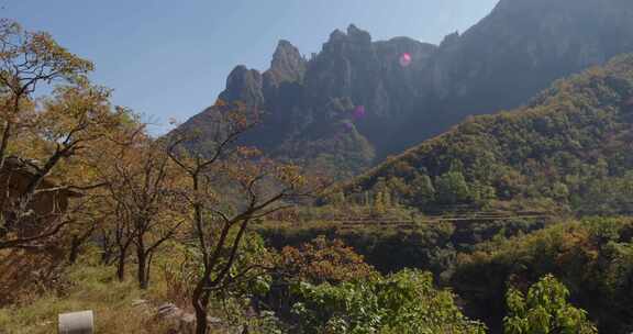 太行山下阳光树木土屋光影05