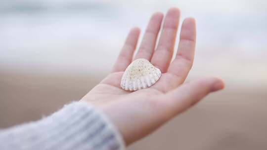 在海边捡到一个小贝壳