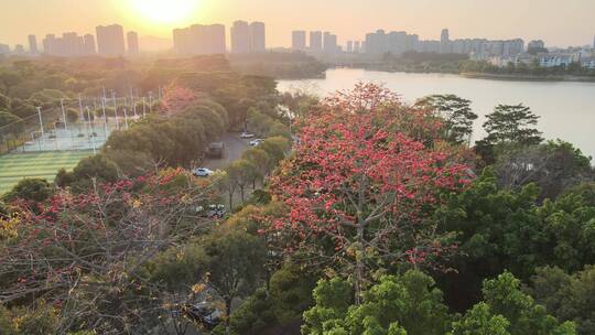 松山湖 东莞 高新区 产业开发区 高新技术