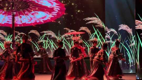 民族服饰女子舞台舞蹈表演